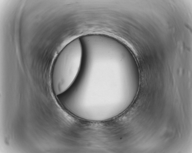 X0000094211525200710260923