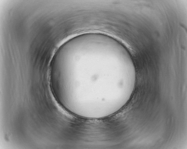 X0000094211526200710260923