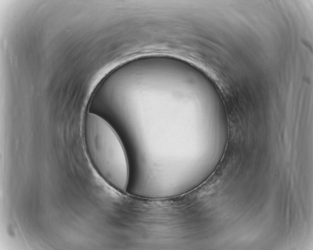 X0000094211527200710260923
