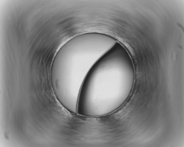 X0000094211529200710260923