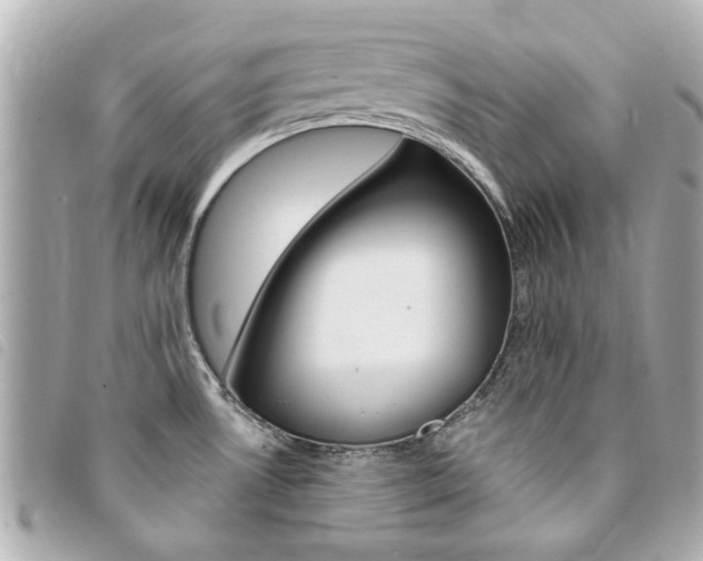 X0000094211530200710260923