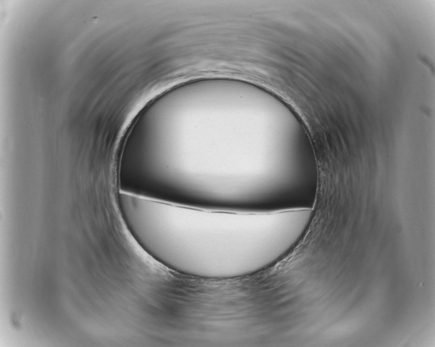 X0000094211531200710260923
