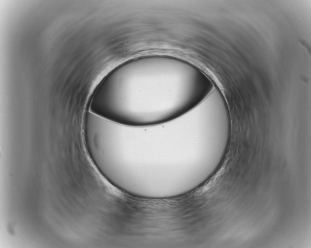 X0000094211533200710260923