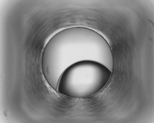 X0000094211534200710260923