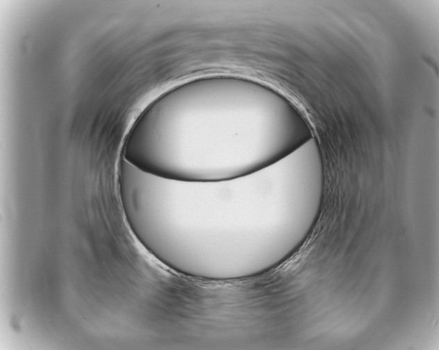 X0000094211535200710260923