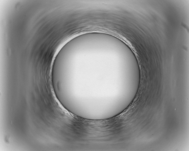 X0000094211536200710260923