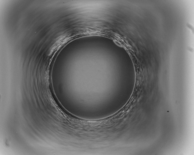 X0000094210002200710261220