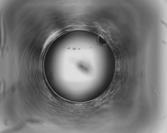X0000094210004200710261219