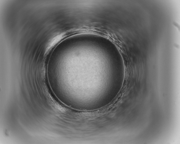 X0000094210005200710261219