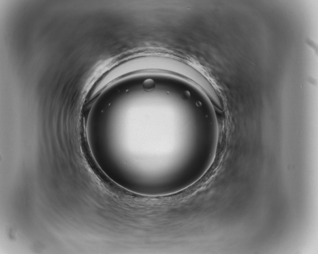 X0000094210007200710261219