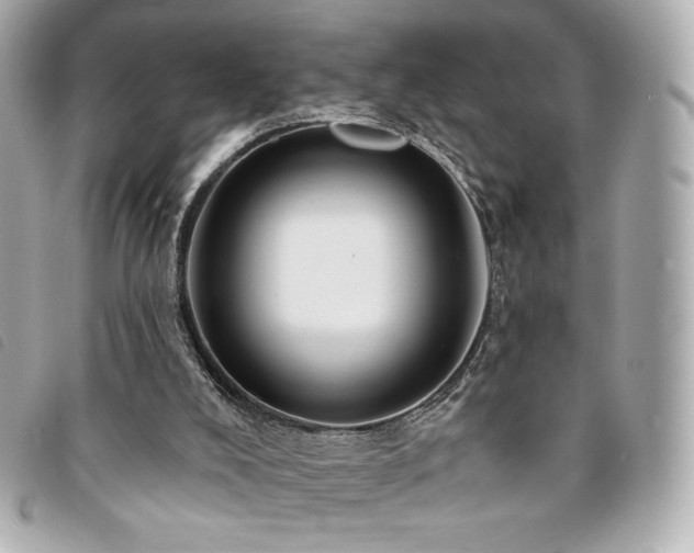 X0000094210008200710261219