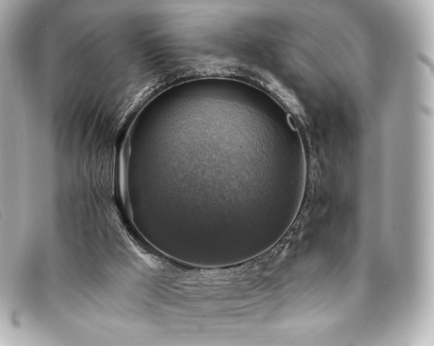 X0000094210009200710261219