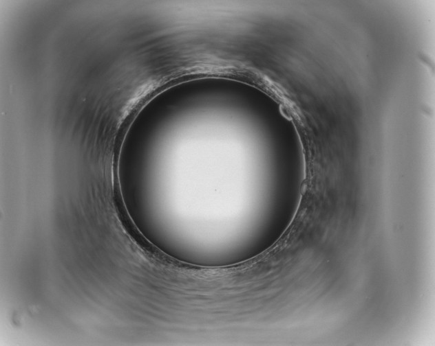 X0000094210011200710261219