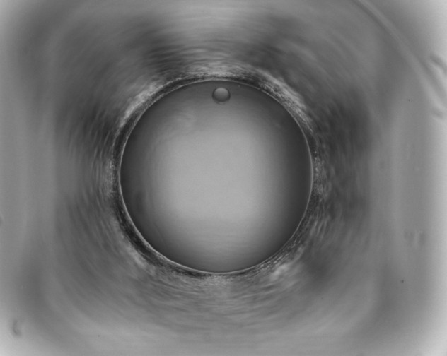 X0000094210012200710261219