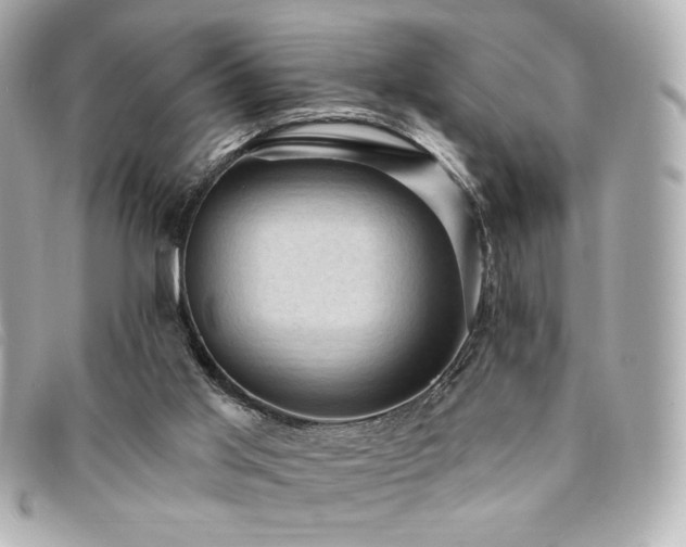 X0000094210013200710261219