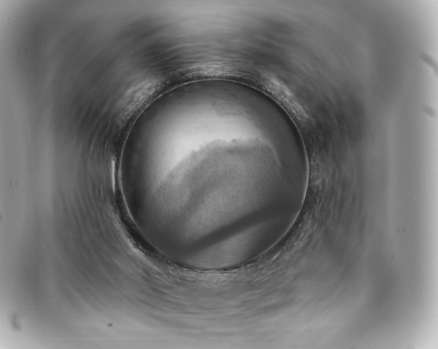 X0000094210014200710261219