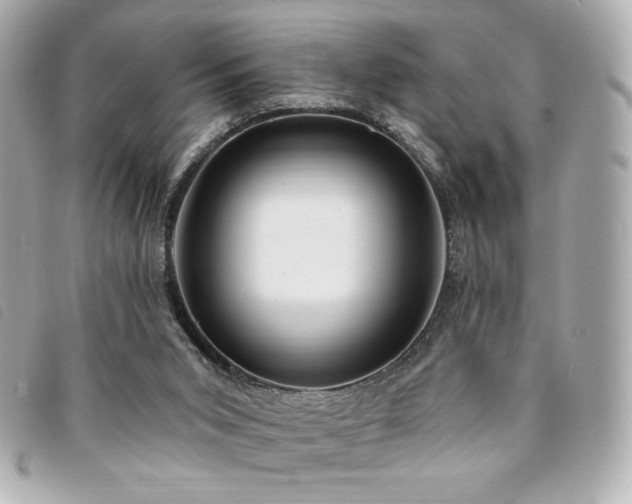 X0000094210015200710261219