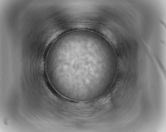 X0000094210016200710261219