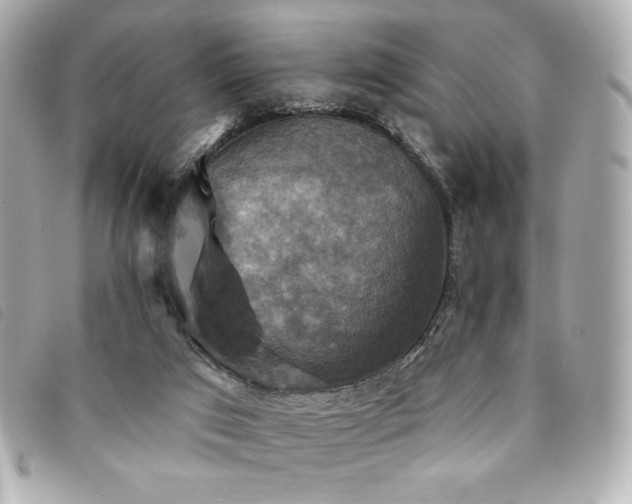 X0000094210017200710261219