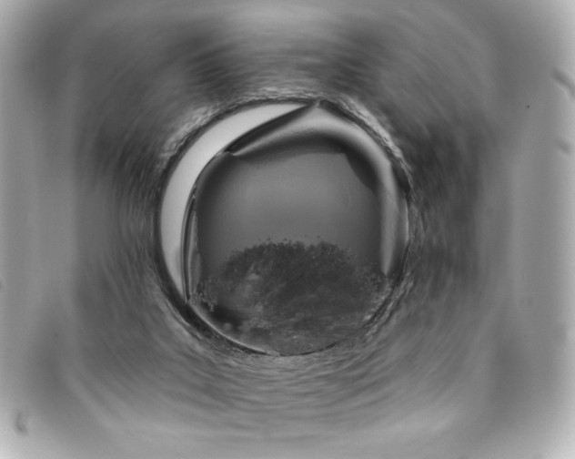 X0000094210019200710261219