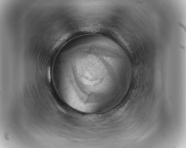 X0000094210020200710261219