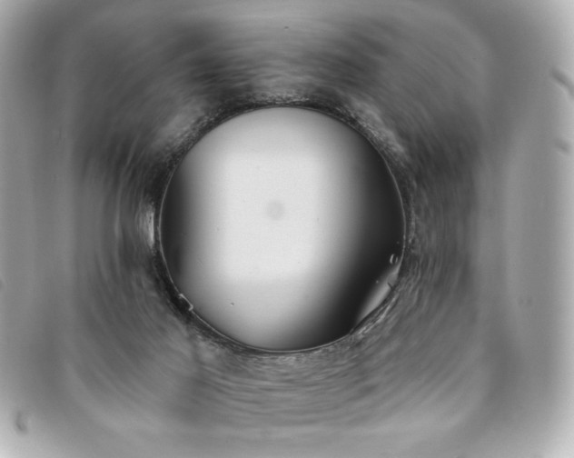 X0000094210021200710261219
