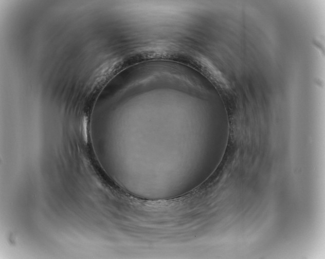 X0000094210022200710261219