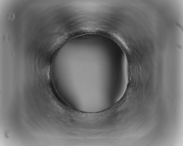 X0000094210023200710261219