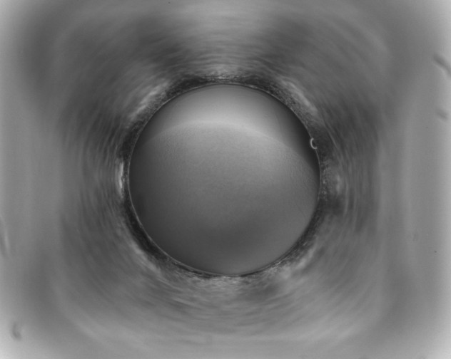 X0000094210024200710261219