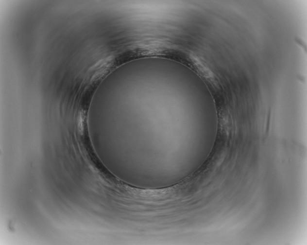 X0000094210026200710261219