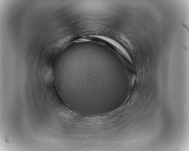 X0000094210029200710261219