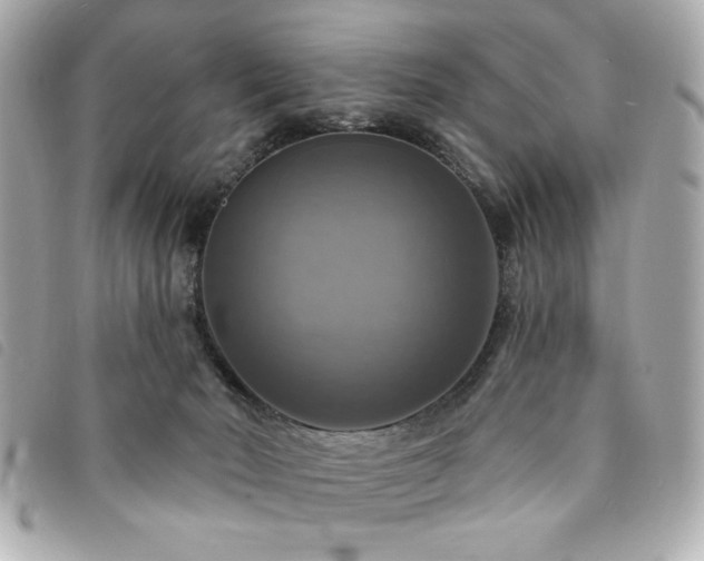 X0000094210030200710261219