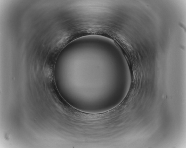 X0000094210031200710261219