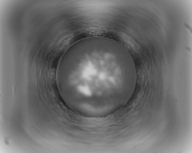 X0000094210034200710261219