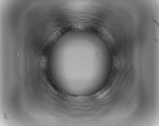 X0000094210036200710261219
