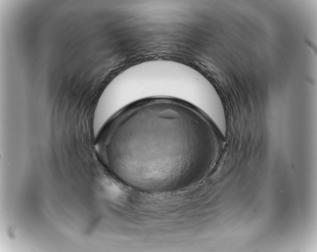 X0000094210037200710261219