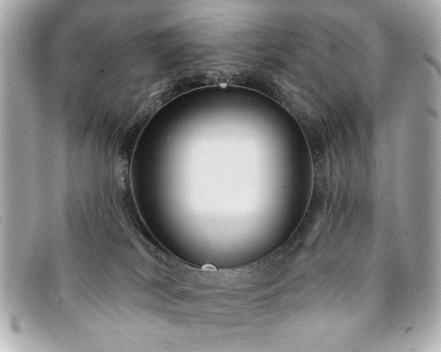 X0000094210038200710261219