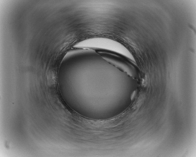 X0000094210039200710261219