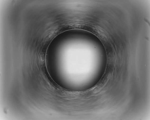 X0000094210040200710261219