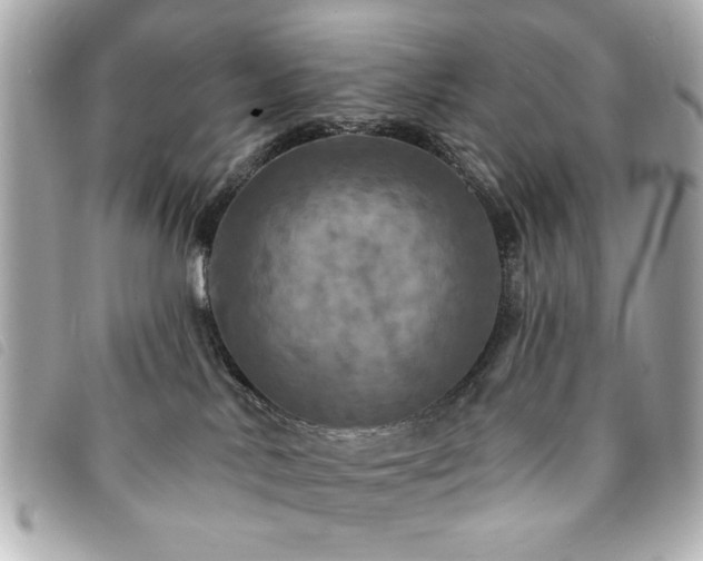 X0000094210042200710261219