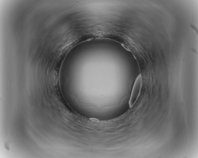 X0000094210043200710261219