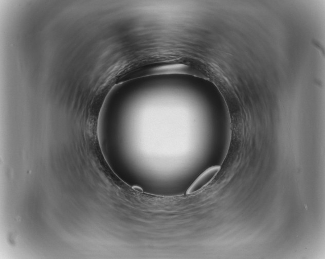 X0000094210044200710261219