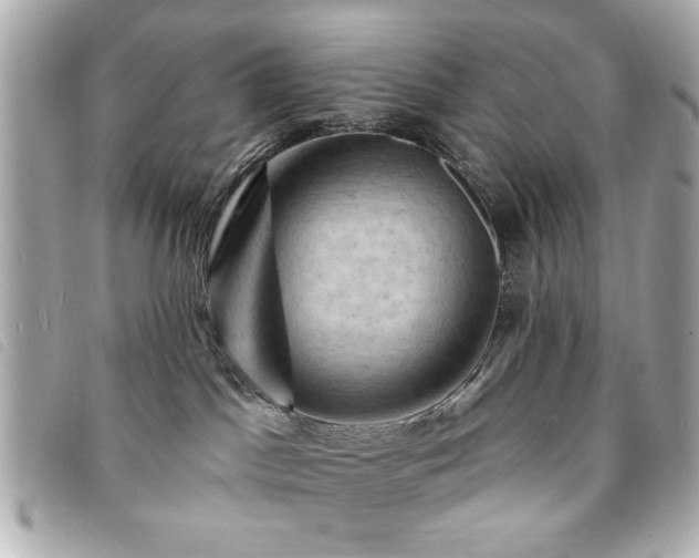 X0000094210045200710261219