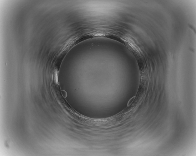 X0000094210046200710261219