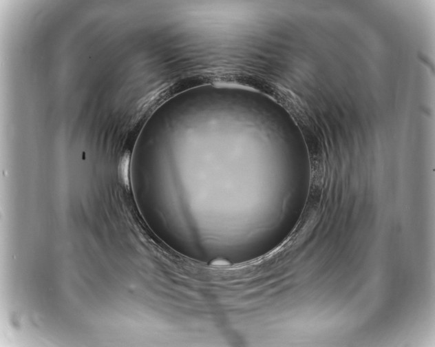 X0000094210047200710261219