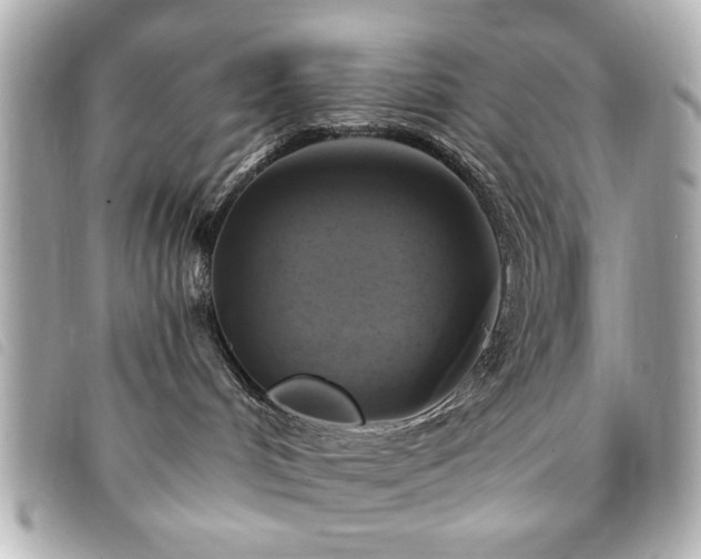 X0000094210048200710261219