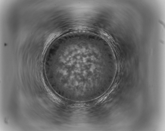 X0000094210049200710261218