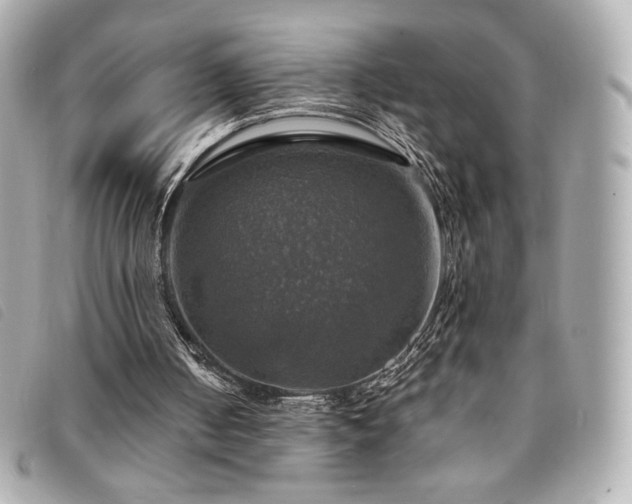 X0000094210050200710261218