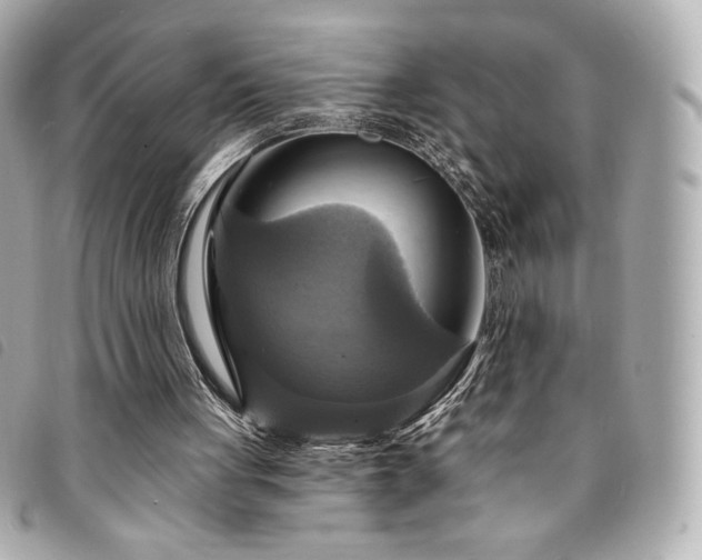 X0000094210051200710261218