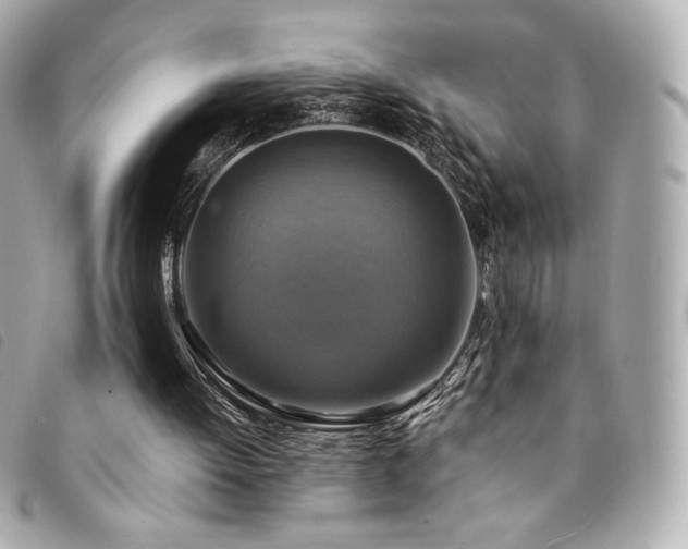 X0000094210052200710261218